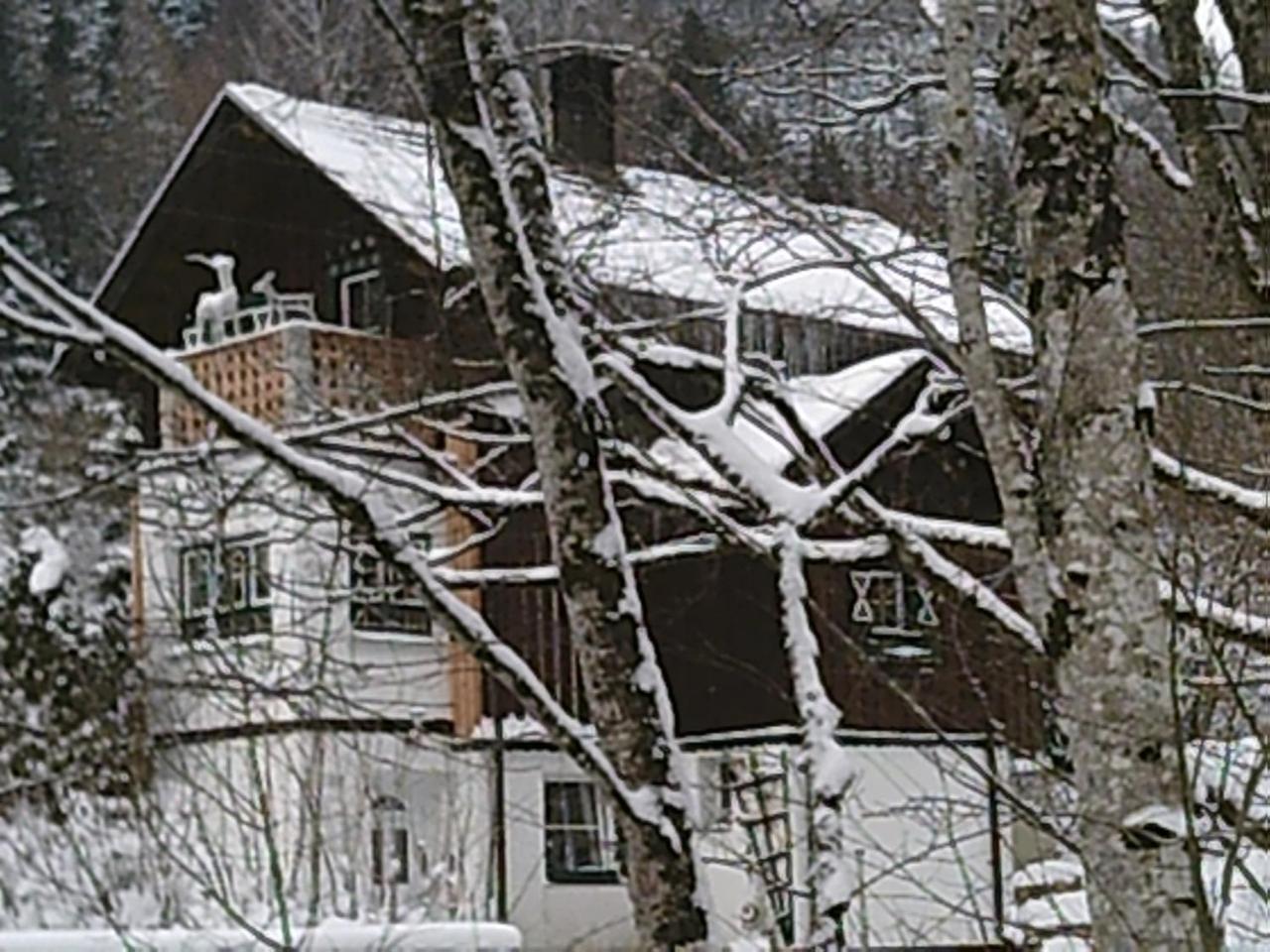 Villa Georges Rast Altaussee Esterno foto